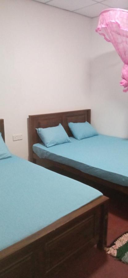 Impress Holiday Home Анурадхапура Экстерьер фото